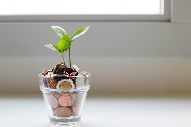 plant growing in pot full of coins